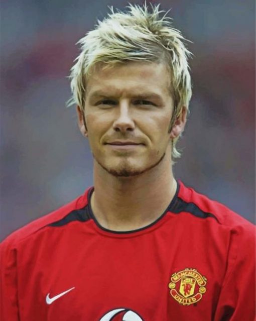 young-david-beckham-paint-by-numbers