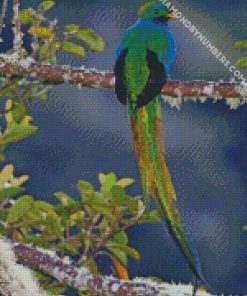Aesthetic Quetzal Bird diamond painting