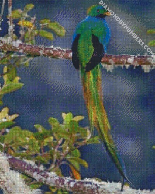 Aesthetic Quetzal Bird diamond painting
