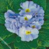 Blue Primrose flowers diamond painting