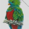 Colorful Quetzal Bird diamond paintings