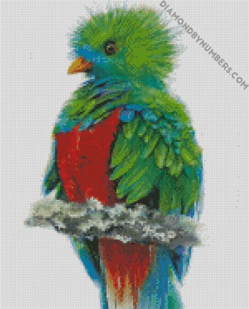 Colorful Quetzal Bird diamond paintings