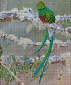 Green Quetzal Bird diamond painting