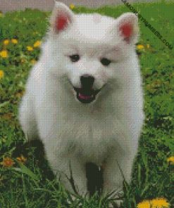 cute american eskimo dog diamond painting