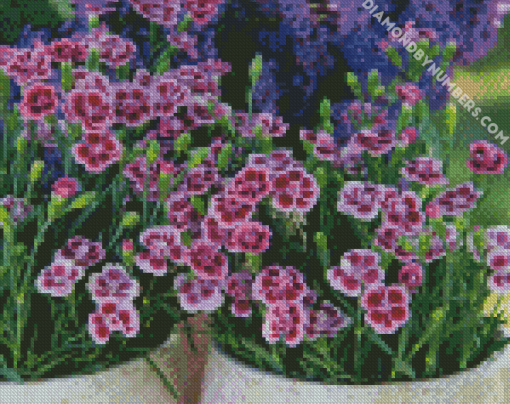 Aesthetic Carnations Flowers paint by numbers