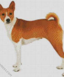 Basenji Dog 5D Diamond Painting