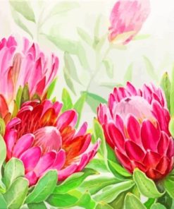 Blooming Pink Proteas diamond painting