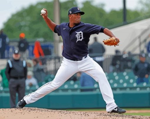 Detroit Tigers Sport Diamond by numbers