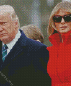 Donald and Milano Trump diamond painting