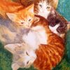 Kitten In a Puddle diamond painting