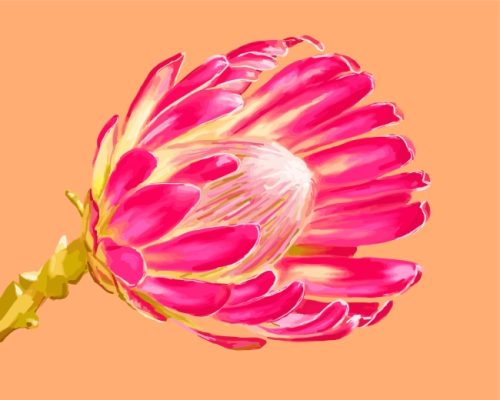 Pink Protea Plant diamond painting