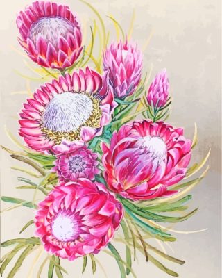 Pink Proteas Art Diamond painting