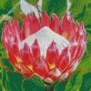 Protea Plant diamond painting