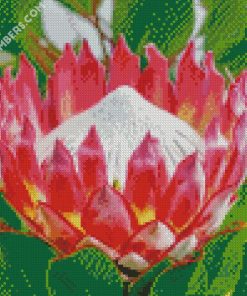 Protea Plant diamond painting