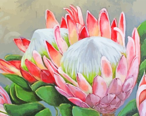 Protea Plants Art diamond painting