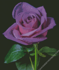 Purple Rose 5D Diamond Painting