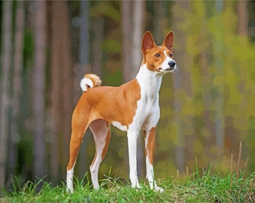 Aesthetic Basenji Puppy diamond paint by numbers