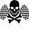 Black Skull And Checker Flag paint by numbers