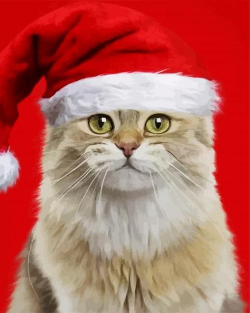Cat In Red Christmas Hat paint by numbers