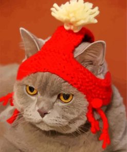Classy Cat In Red Hat paint by numbers