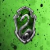 Hogwarts Harry Potter Slytherin Diamond by numbers