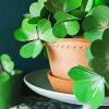 Shamrock Plant paint by numbers