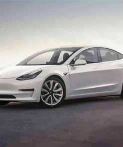 White Tesla paint by numbers
