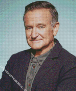 Robin Williams diamond painting