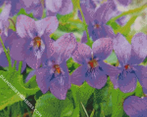 Violet Flowers diamond painting