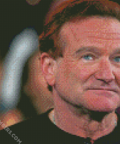 The American Actor Robin Williams diamond painting