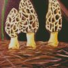 Morel Mushroom diamond painting