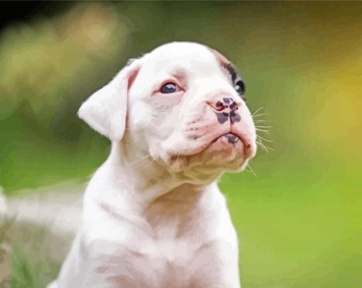 White Boxer puppy diamond paintings