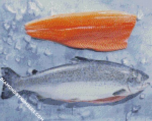 Salmon Fish diamond painting