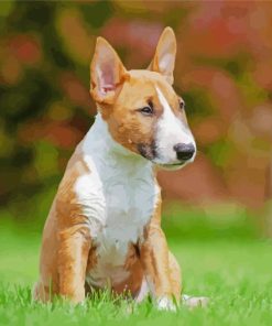 Cute English Bull Terrier Puppy diamond painting