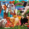 Dogs Picnic In The Park diamond painting