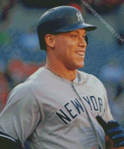 Aaron Judge Paint by Numbers