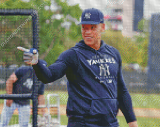 Baseball Aaron Judge Paint by Numbers