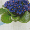 Aesthetic African Violets Diamond painting