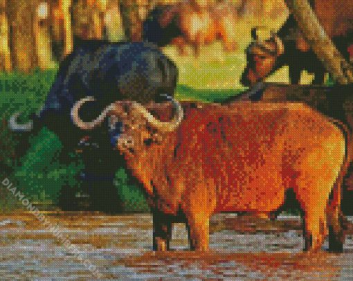 African Wild Cattle diamond paintings