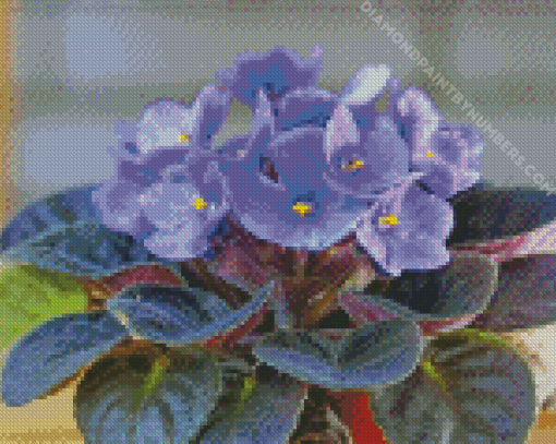 Blue African Violets Diamond painting