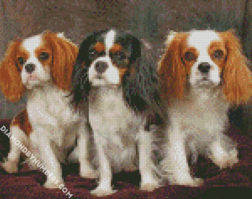Trio King Charles Dogs Diamond painting