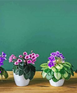 African Violets Plants Diamond painting