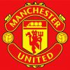 Manchester United Football Emblem diamond paintings