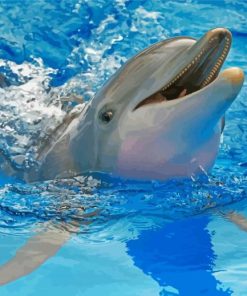 Winter And Hope Dolphins