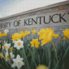 University of Kentucky diamond paintings