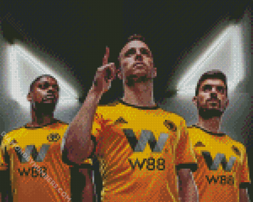 Wolverhampton Wanderers Players Diamond Pianting
