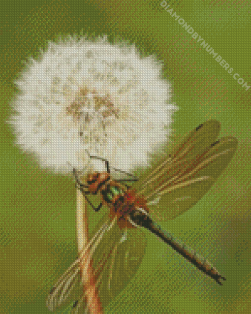Dragonfly And Dandelion diamond painting