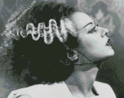 Vintage Monochrome Bride of Frankenstein diamond paintings