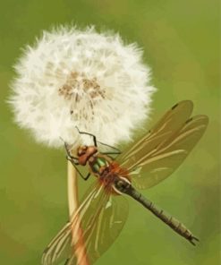 Dragonfly And Dandelion diamond paintings