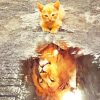 Cat Water Reflection diamond paintings
